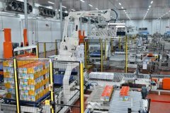 建立全财产链数字办理系统 双汇打制肉类成长新